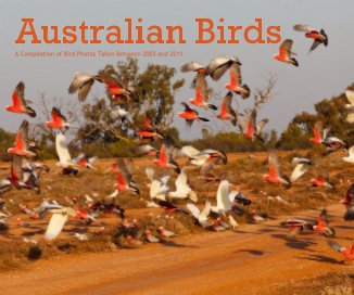 Australian Birds A compilation of bird photos taken between 2003 and 2011 book cover