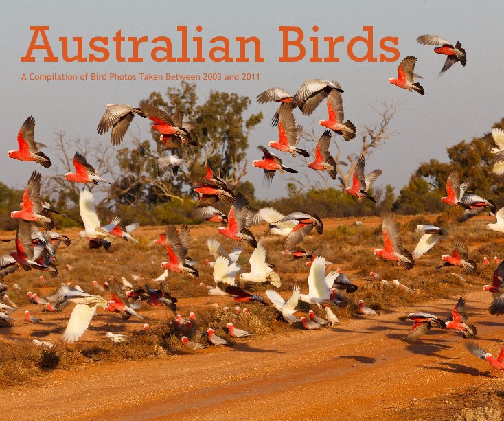 Bekijk Australian Birds A compilation of bird photos taken between 2003 and 2011 op MattieBaljet