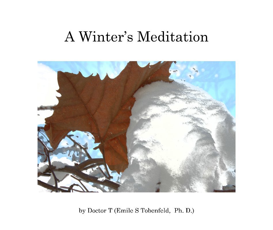 Visualizza A Winter's Meditation di Emile (Doctor T) Tobenfeld