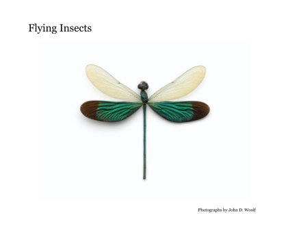 Flying Insects book cover