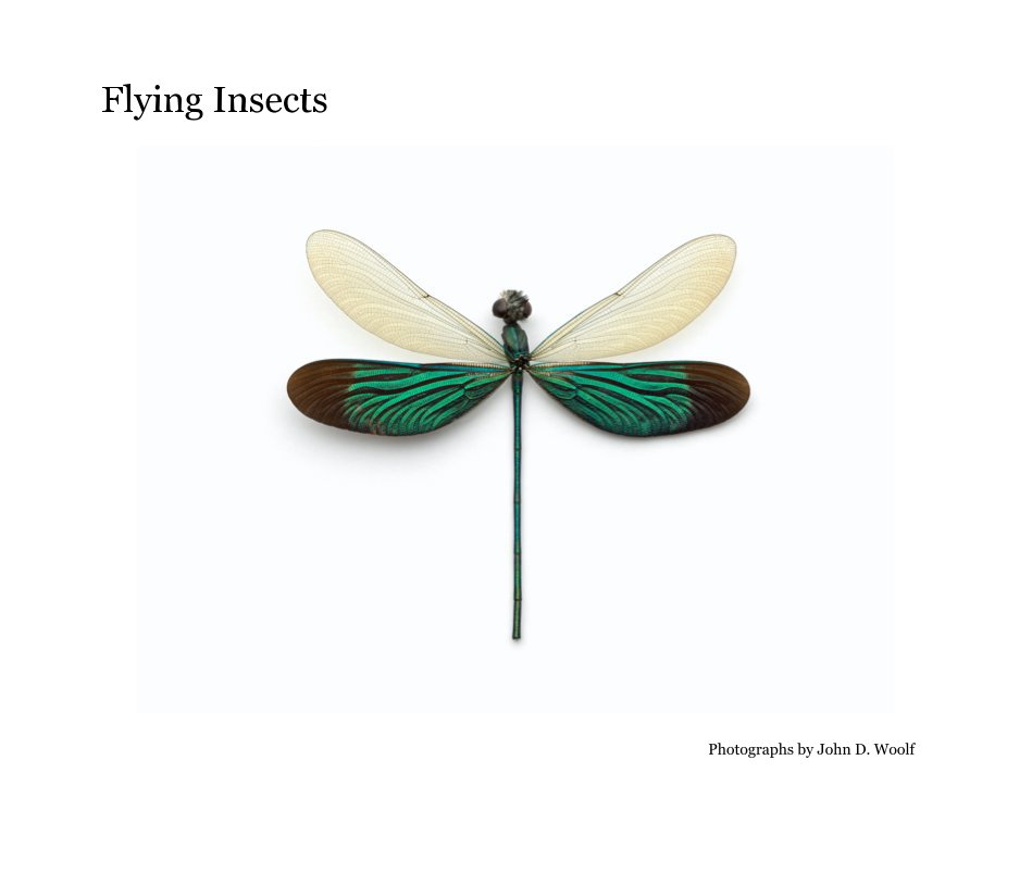 View Flying Insects by Photographs by John D. Woolf