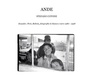 ANDE book cover