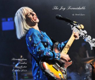 The Joy Formidable book cover