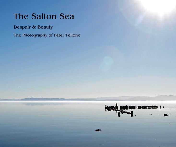View The Salton Sea by Peter Tellone