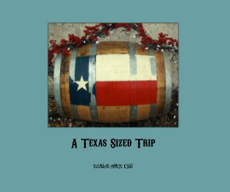 A Texas Sized Trip book cover