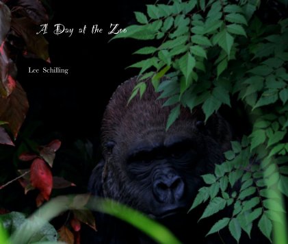 A Day at the Zoo book cover