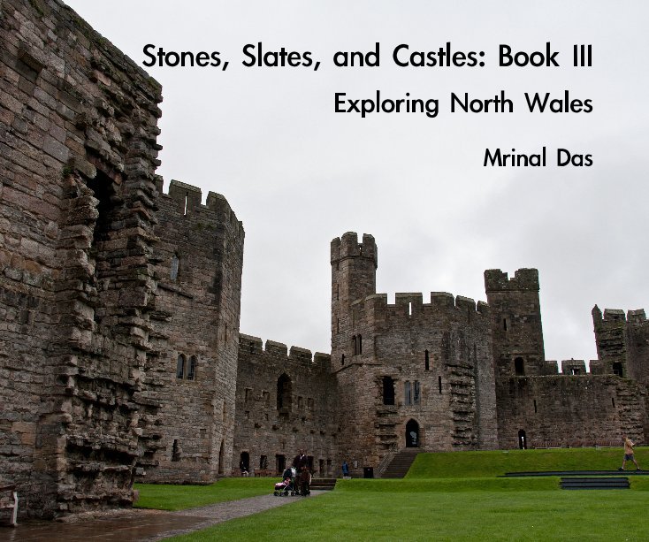 View Stones, Slates, and Castles: Book III by Mrinal Das
