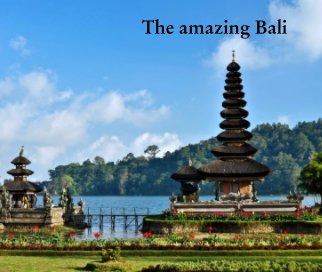 The amazing Bali book cover