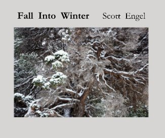 Fall Into Winter book cover