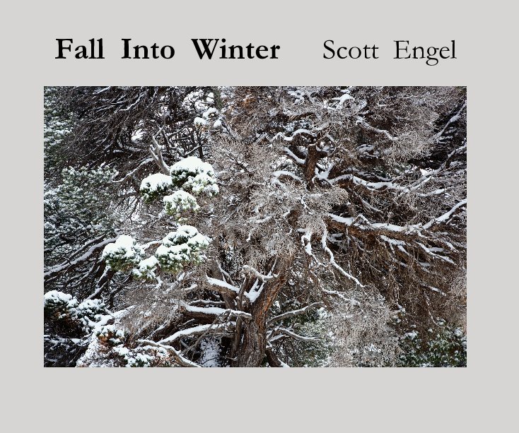 View Fall Into Winter by Scott Engel