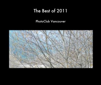 The Best of 2011 book cover