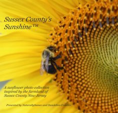 Sussex County's Sunshine™ book cover