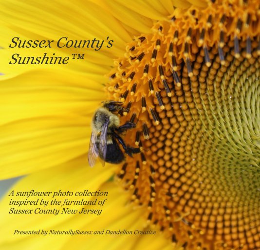 View Sussex County's Sunshine™ by NaturallySussex and
 Dandelion Creative