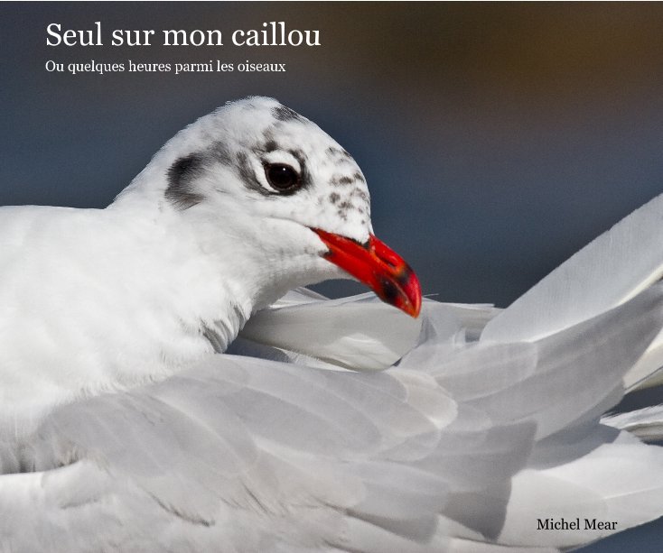 View Seul sur mon caillou by Michel Mear