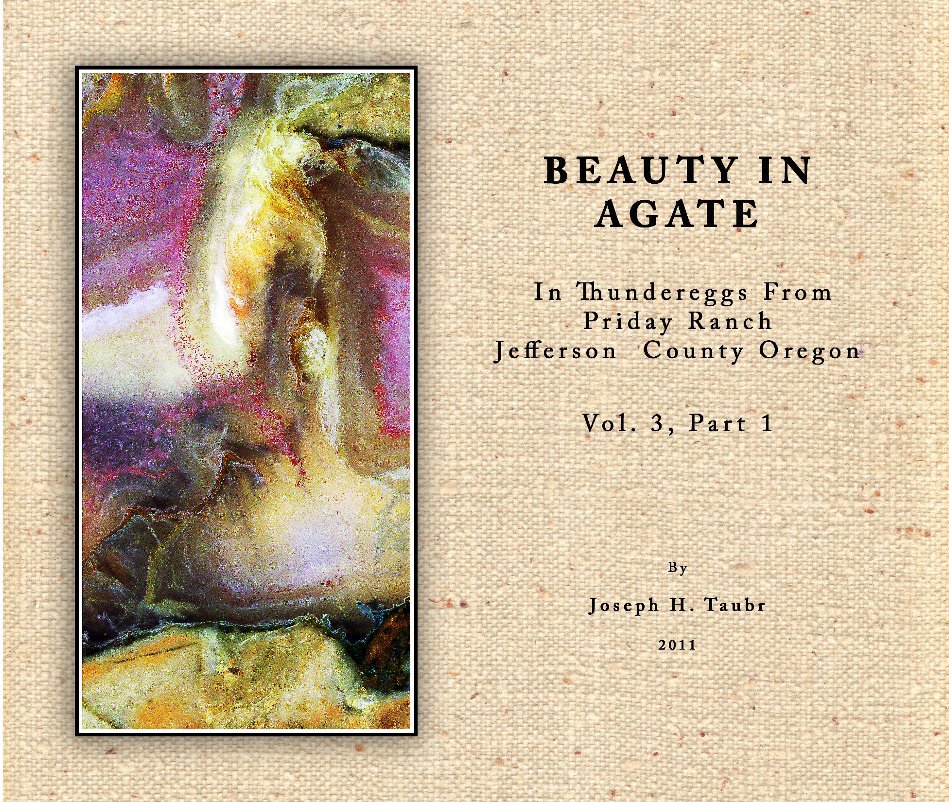 View Beauty in Agate,  Vol 3, 
In Thundereggd from the Priday Ranch, Oregon by Joseph H. Taubr