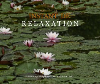 INSTANT DE RELAXATION book cover