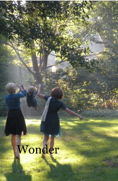 View Wonder by Wonder