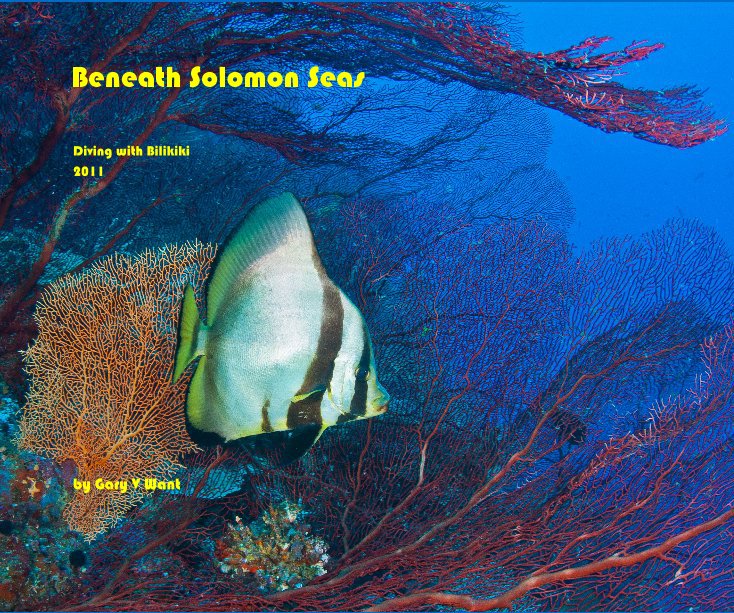 View Beneath Solomon Seas by Gary V Want
