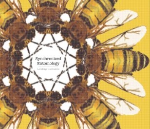 Synchronized Entomology book cover
