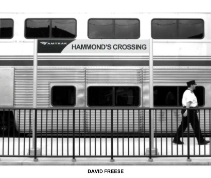 Hammond's Crossing book cover