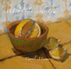 What Color is the Light? book cover