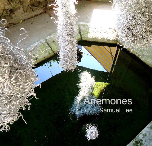 View Anemones (Installation) by Samuel Lee