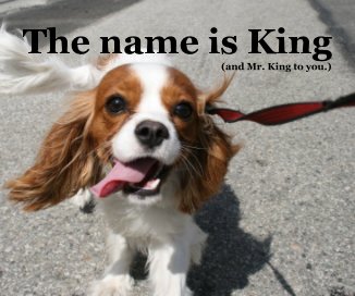 The name is King book cover