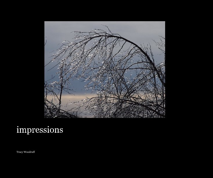 View impressions by Tracy Woodruff