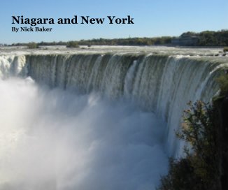 Niagara and New York book cover