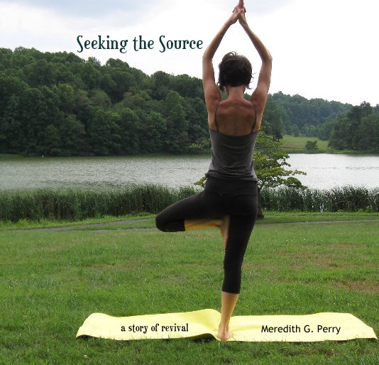 Seeking the Source nach a story of revival Meredith G. Perry anzeigen