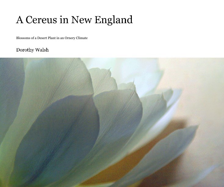 View A Cereus in New England by Dorothy Walsh