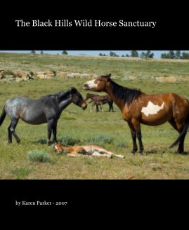 The Black Hills Wild Horse Sanctuary (iPad Version) book cover