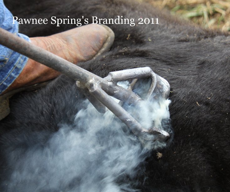 Ver Pawnee Spring's Branding 2011 por Shalee Paxton