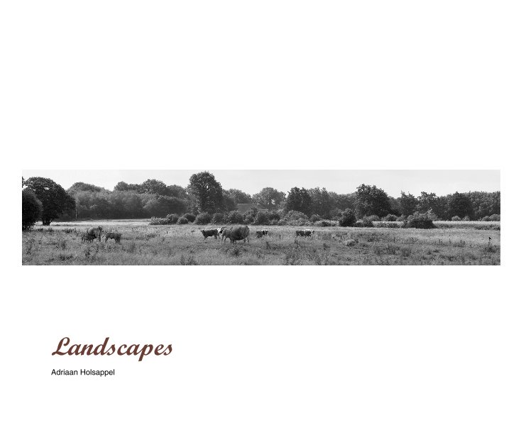 Ver Landscapes por Adriaan Holsappel