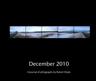 December 2010 book cover
