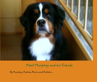 Meet Murphey and his Friends book cover