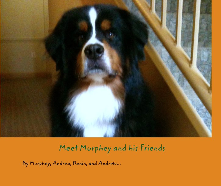 Visualizza Meet Murphey and his Friends di Murphey, Andrea, Ronin, and Andrew...