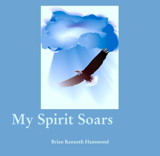 View My Spirit Soars by Brian Kenneth Hammond