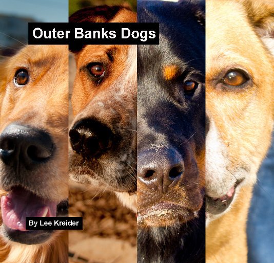 Ver Outer Banks Dogs October 2011 por Lee Kreider