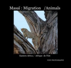 Masaï : Migration /Animals book cover