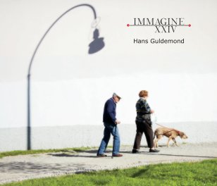 IMMAGINE XXIV 'Nederlands' book cover