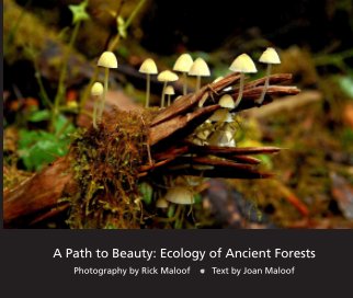 A Path to Beauty: Ecology of Ancient Forests book cover