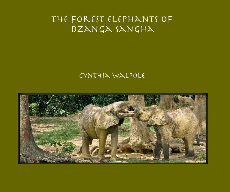 Ver the forest elephants of dzanga sangha por cynthia walpole