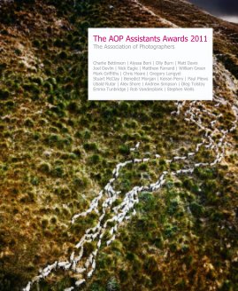 The AOP Assistants Awards 2011 book cover