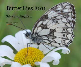 Butterflies 2011 book cover