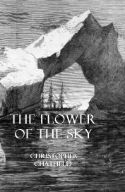 THE FLOWER OF THE SKY book cover