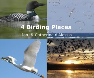 4 Birding Places book cover