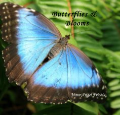Butterflies & Blooms book cover