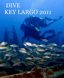 DIVE KEY LARGO 2011 book cover