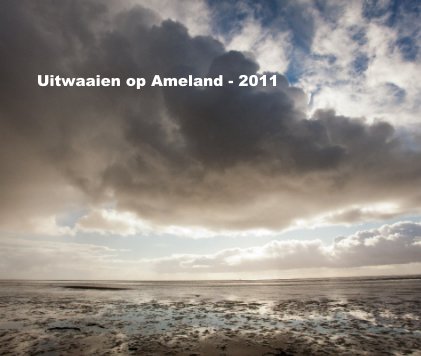 Uitwaaien op Ameland - 2011 book cover